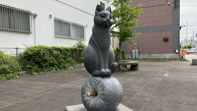 リンコにのった猫(収穫祭)