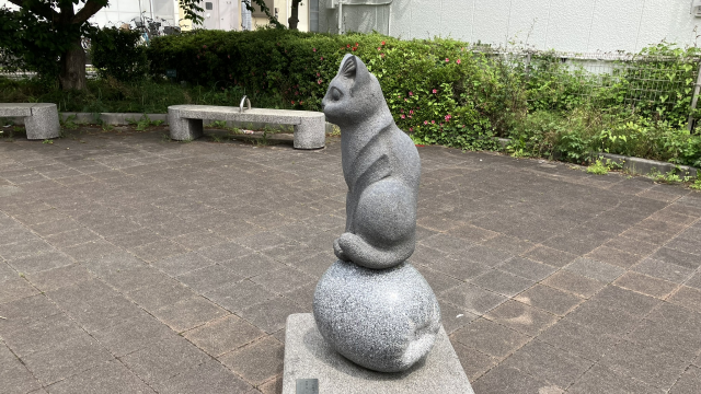 リンコにのった猫(収穫祭)